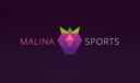 malinasports sportsbook logo